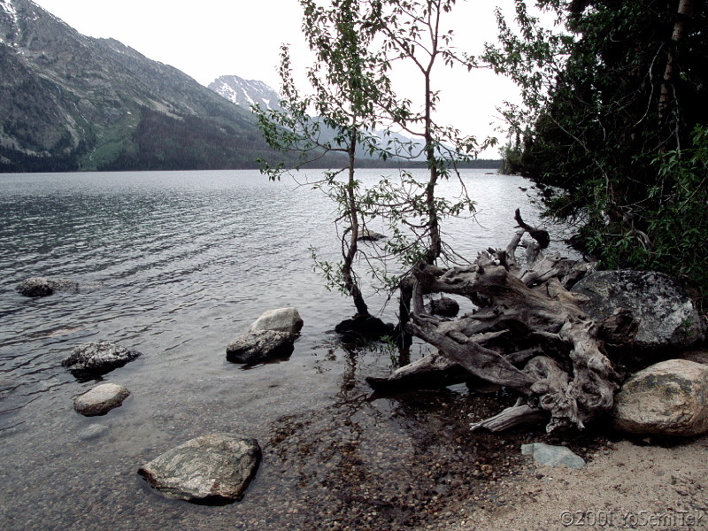 JacksonLake_1