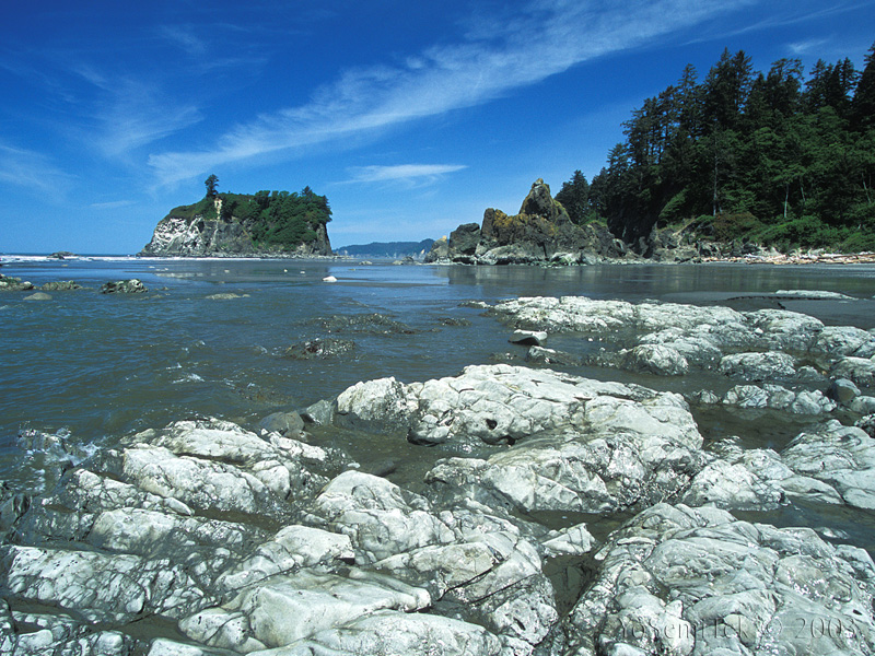 Ruby Beach #1